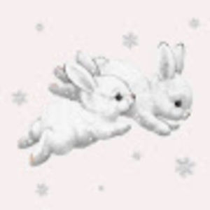 Meet your Posher, Lilly